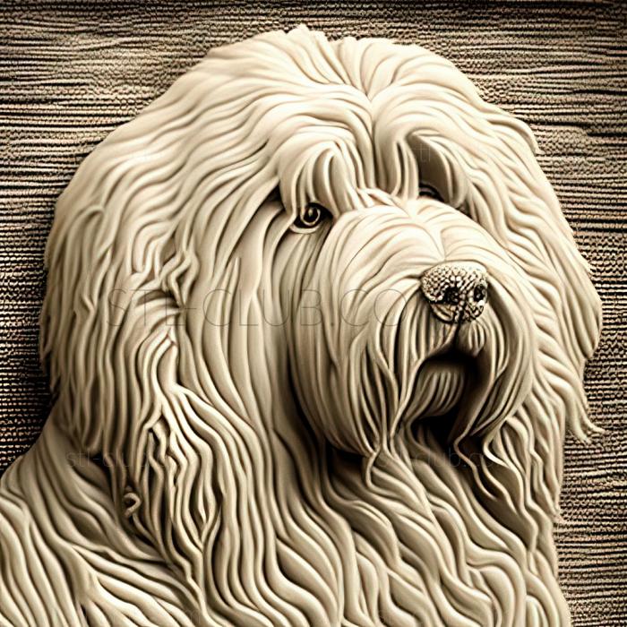 st Komondor dog